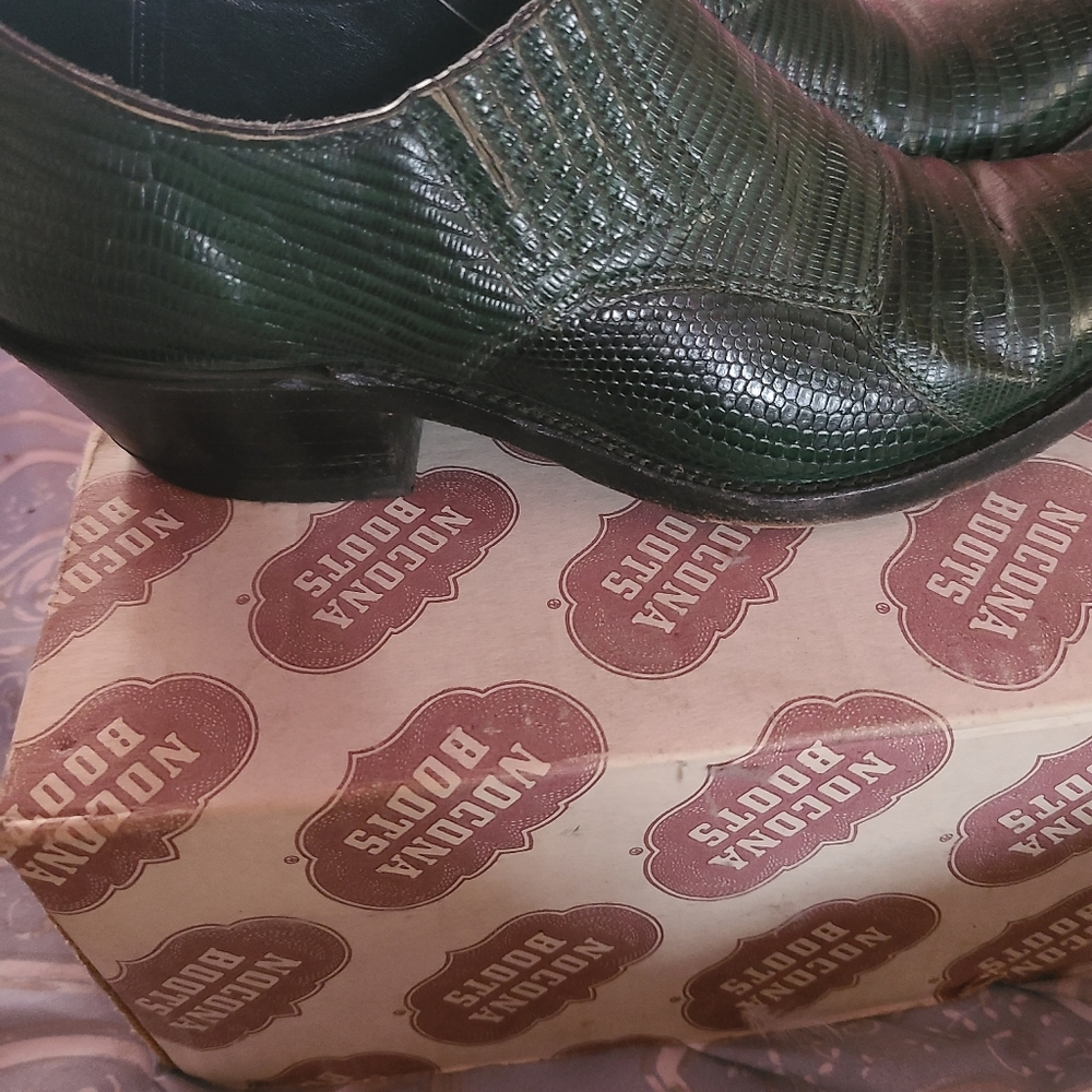 Lizard Shoe Boots - image 3